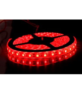 TIRA SMD5050 14,4W/M IP20  60LEDS 12V EN LUZ AZUL O ROJO