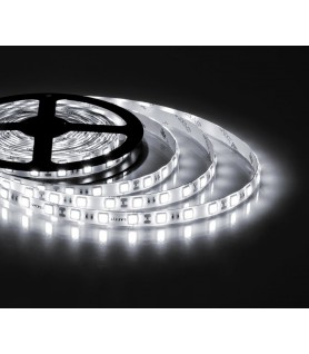 TIRA SMD5630 15W/M IP20 60LEDS 12V EN LUZ FRÍA (6000K)