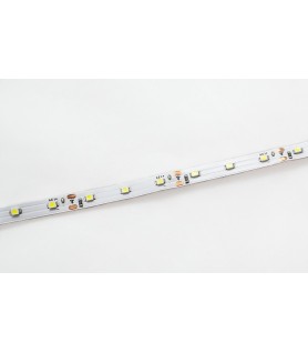 TIRA SMD3528 4,8W/M IP20 60LEDS 12V