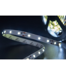 TIRA SMD3528 6W/M IP65 60LEDs 12V LUZ FRÍA