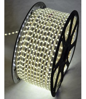 TIRA LED SMD2835 220V  50M/ROLLO