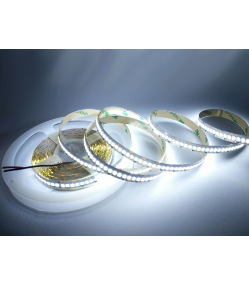 Tira LED 24V SMD2835 12W/m luz blanca fría encendida para perfil de aluminio