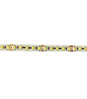 TIRA SMD2835 ROLLO 20M 12W/M IP20 120LEDs 24V