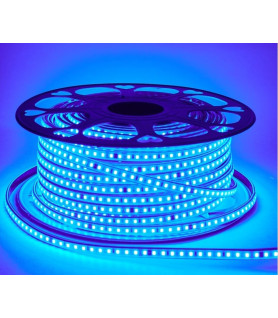TIRA LED 220V COLOR AZUL...