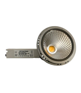 AR 111 19W CON DRIVER