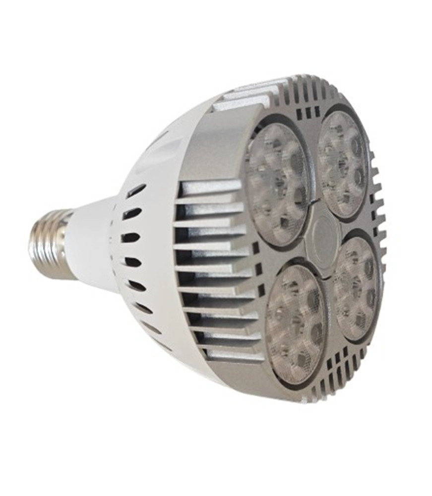 PAR30 30W ALIMENTACIÓN (LUZ ROSADA)