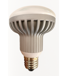 R80 10W EN LUZ FRÍA (6000K)