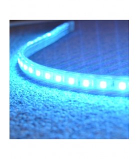 TIRA DE LED A 220V 50M/ROLLO EN COLOR AZUL