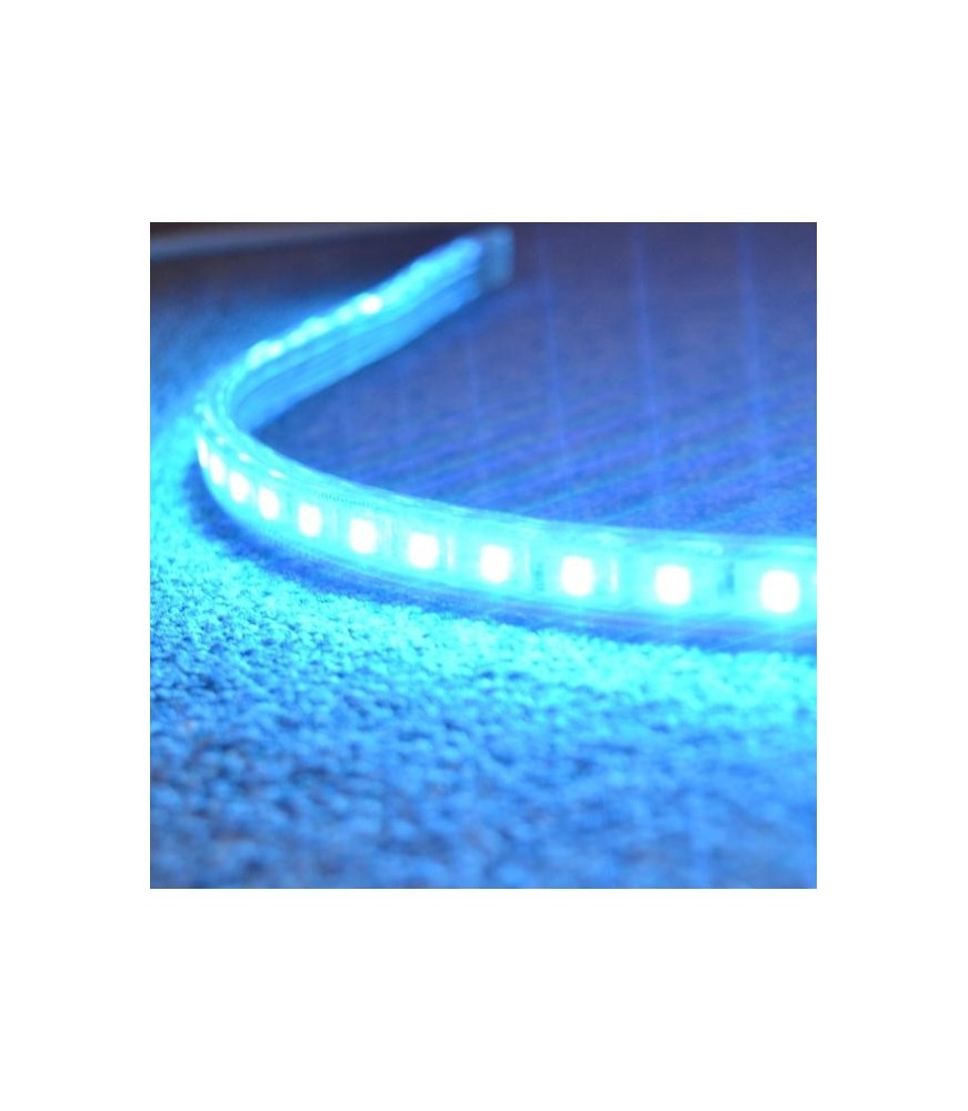 TIRA DE LED A 220V 50M/ROLLO EN COLOR AZUL