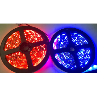 Tira LED 12V SMD5050 de alta potencia 14,4W/m en colores azul y rojo