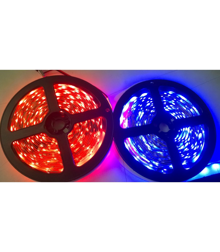 Tira LED 12V SMD5050 de alta potencia 14,4W/m en colores azul y rojo