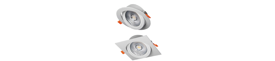 Downlight basculante