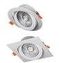 Downlight basculante